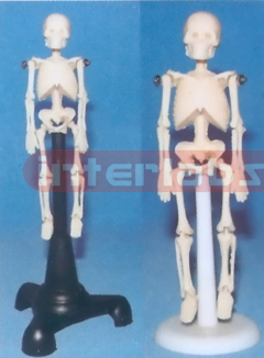 10 CM TALL, ADULT MINI-SKELETON WITH PLASTIC BASE.